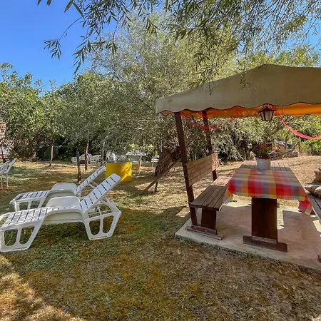 Pet Friendly In Frazione *
