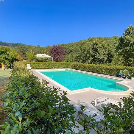 Pet Friendly In Frazione